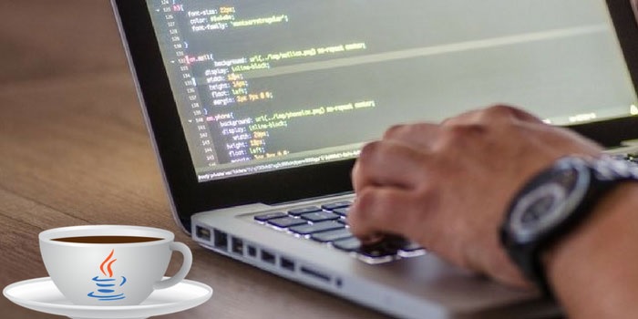 Customized softwares for business